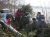 christbaum-2
